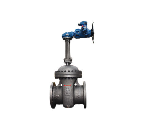 API 600 Double Gate Valve